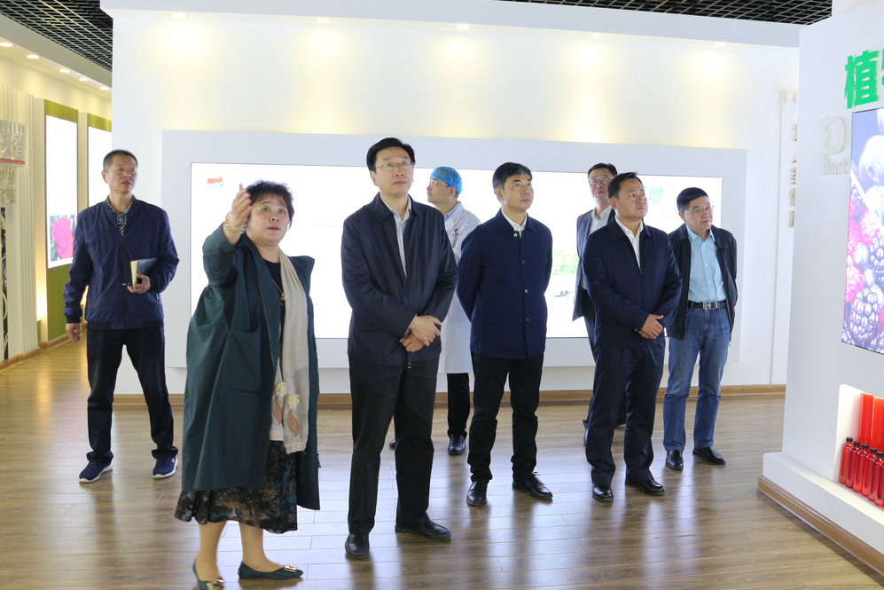 2020年11月2日省政府食安辦副主任，省市場監督管理局副局長王建防到公司調研指導工作.JPG